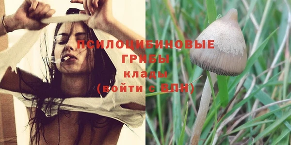 кокаин Бородино