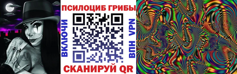 дарк нет как зайти Среднеуральск Галлюциногенные грибы Psilocybine cubensis