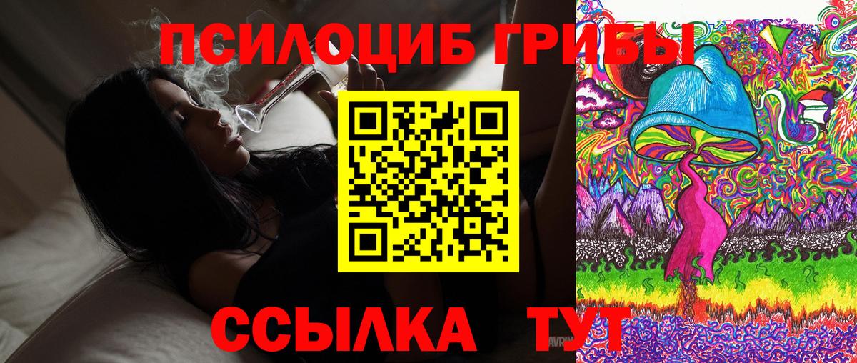 Среднеуральск  Псилоцибиновые грибы MAGIC MUSHROOMS  Вход с VPN 