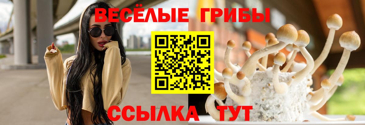 Псилоцибиновые грибы Magic Shrooms Среднеуральск